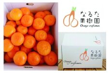 成田果樹園の温州みかん5kg