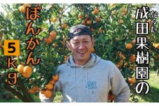成田果樹園のぽんかん5kg家庭用
