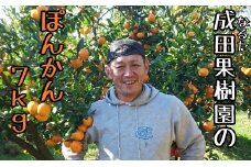 成田果樹園のぽんかん7kg贈答用