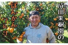成田果樹園のぽんかん7kg家庭用