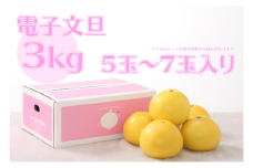 ハッピーフルーツ果樹園の電子文旦3kg贈答用