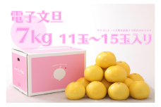 ハッピーフルーツ果樹園の電子文旦7kg贈答用