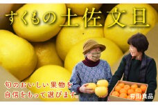 有田食品の土佐文旦10kg贈答用