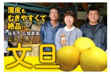 広畑農園の土佐文旦5kg贈答用