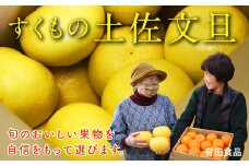 有田食品の土佐文旦10kg家庭用