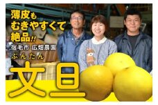 広畑農園の土佐文旦10kg家庭用
