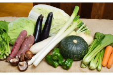 宿毛のおふくろ小包み：新鮮旬野菜おまかせセット　いも 栗 ネギ ほうれん草 人参 大根 白菜 椎茸 ナス 柿 小松菜 キャベツ レタス しいたけ あかかぶ 高知 地元 