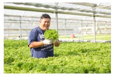 おかけんふぁーむのリーフレタス（栽培期間中農薬不使用）
