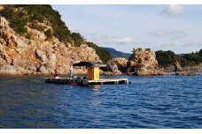 宿毛湾磯・筏釣り券
