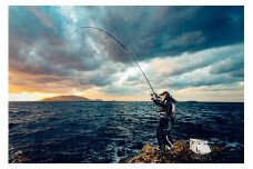 沖の島・鵜来島磯釣り券