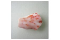 珊瑚職人館の珊瑚の和小物3