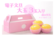ハッピーフルーツ果樹園の電子文旦3玉（大玉）贈答用