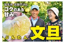 浜田巧の土佐文旦5kg家庭用