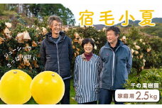 千の果樹園の宿毛小夏2.5kg・家庭用