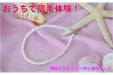 珊瑚アクセ作り体験キットF（白珊瑚玉ブレスレット）