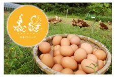 放し飼い養鶏のたまご 6個入り 3パック
