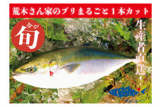 『荒木さん家のブリ』 まるごと一匹カット
