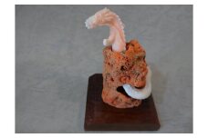 海の秘宝珊瑚：置物B