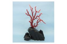 珊瑚職人館の珊瑚の原木・拝見・置物（g11）