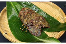 沖の島の漁師が獲ったタビエビ（ぞうり海老）500g（2～4匹）