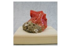 珊瑚職人館の珊瑚の置物9