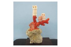 珊瑚職人館の珊瑚の置物5