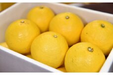 吉岡農園のすくも小夏3kg家庭用　2L