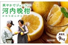 結（ゆい）果樹園の河内晩柑9kg（家庭用）