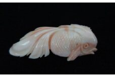 桃珊瑚の金魚