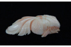 桃珊瑚の金魚