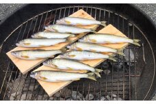 【ふるさと納税限定品】松田川産冷凍天然アユ1kg