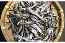 中野海産のこべらじゃこ 500g