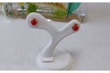 海の秘宝珊瑚：ピアス7