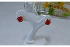 海の秘宝珊瑚：ピアス6