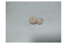 海の秘宝珊瑚：ブローチ8