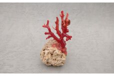 海の秘宝珊瑚：置物G