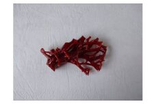 海の秘宝珊瑚：置物K
