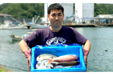 新鮮土佐魚の詰合せセットA