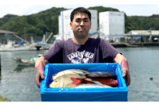 新鮮土佐魚の詰合せセットB