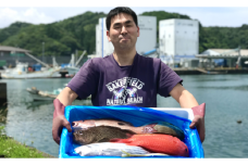 新鮮土佐魚の詰合せセットC