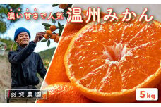 羽賀農園の温州みかん5kg