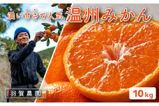 羽賀農園の温州みかん10kg