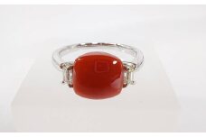 海の秘宝珊瑚：PTリング