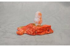 海の秘宝珊瑚：置物　大黒天Ｂ
