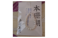 海の秘宝珊瑚：赤ちゃんのお守りA