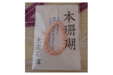 海の秘宝珊瑚：赤ちゃんのお守りC