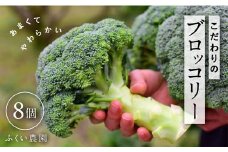 ふくい農園のおいしいブロッコリー8個　野菜 やさい とれたて 甘い 濃い やわかい 新鮮 農家 産地 直送 人気 好評 管理 水田 栽培 有機 肥料 おかず 弁当 サラダ 料理