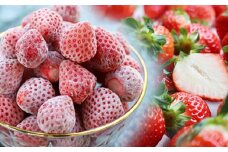 【2025年2月以降お届け分】フレッシュ冷凍イチゴ春摘み「あまえくぼ」500g×2袋