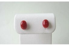 珊瑚職人館の珊瑚ピアス37