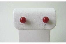 珊瑚職人館の珊瑚ピアス38